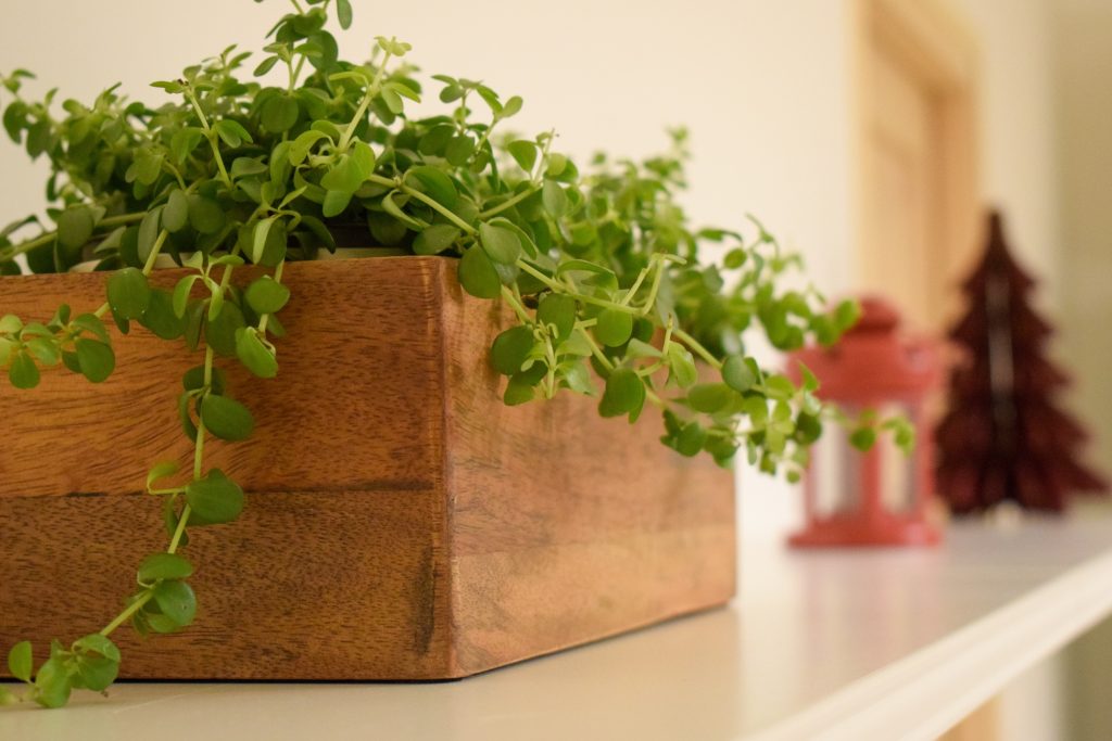 puszedli rendezvényterem dekoráció